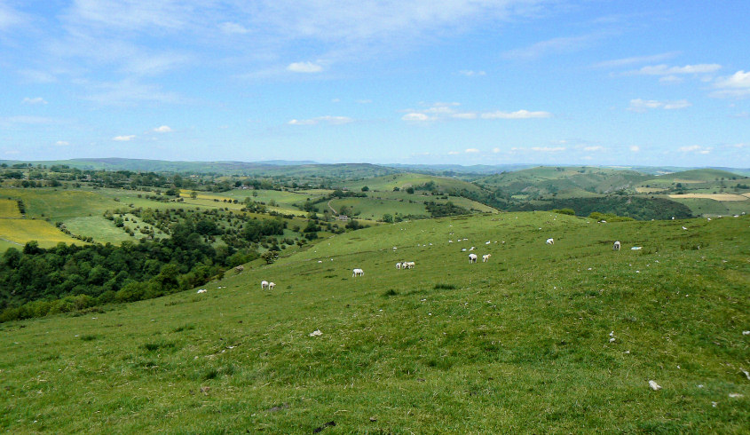 Manifold Valley Manifold Valley